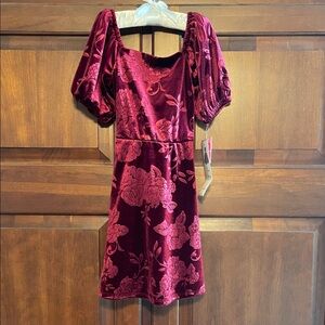 Rare Editions Burgundy Velvet Dress